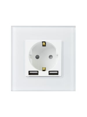 PNI WP103 semplice presa da incasso con cornice in vetro e 2 porte USB